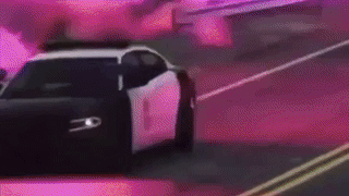 猫 汽车