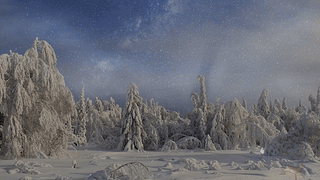 雪之光