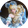 茶猫