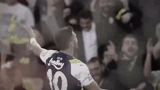 Fenerbahçe 23-24 编辑 动态壁纸 | 作者：PGXpowerr