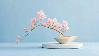 斜枝粉梅