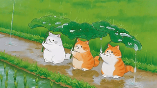 雨中的猫咪