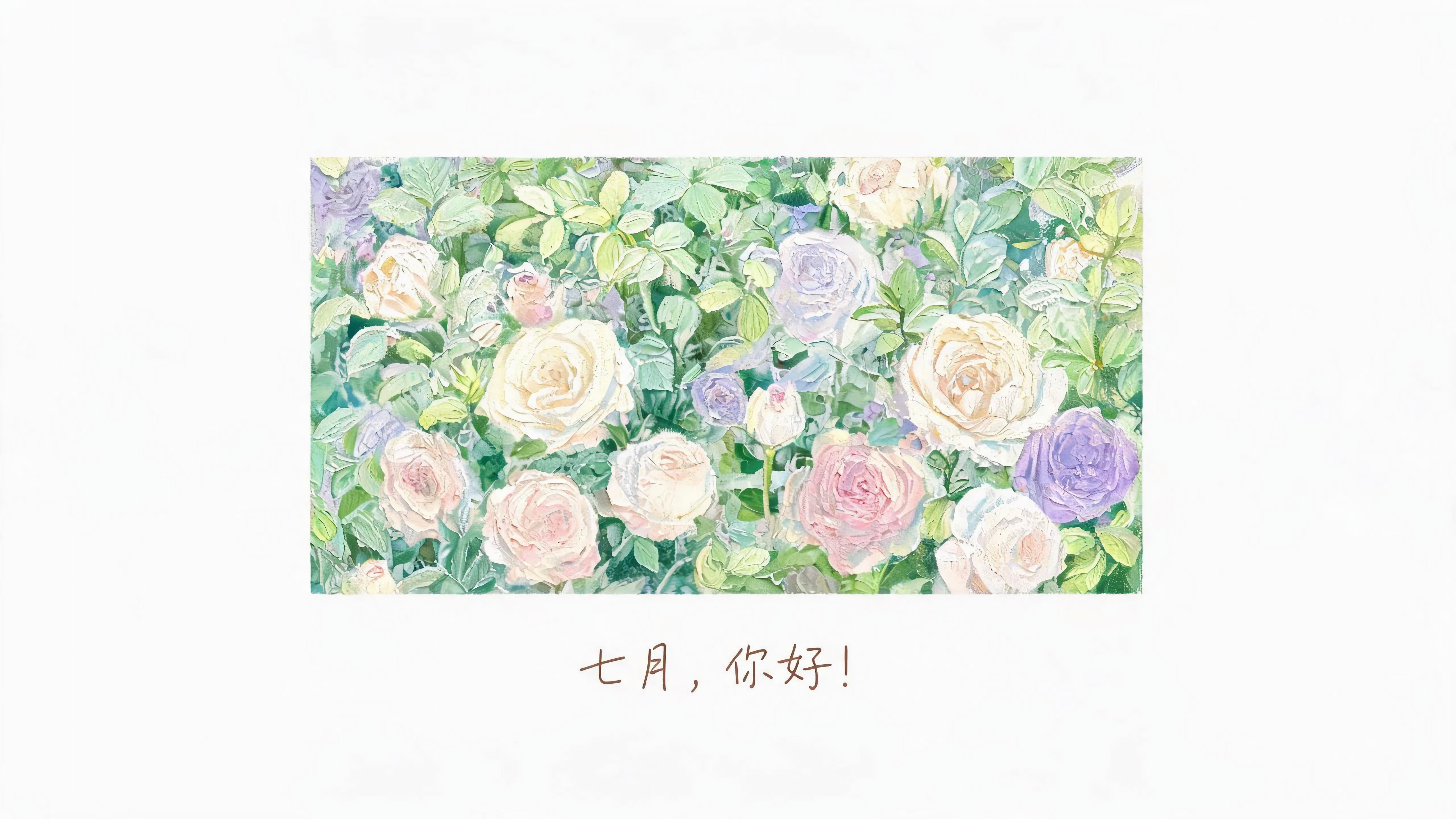 插画玫瑰花七月你好