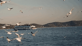海上游船
