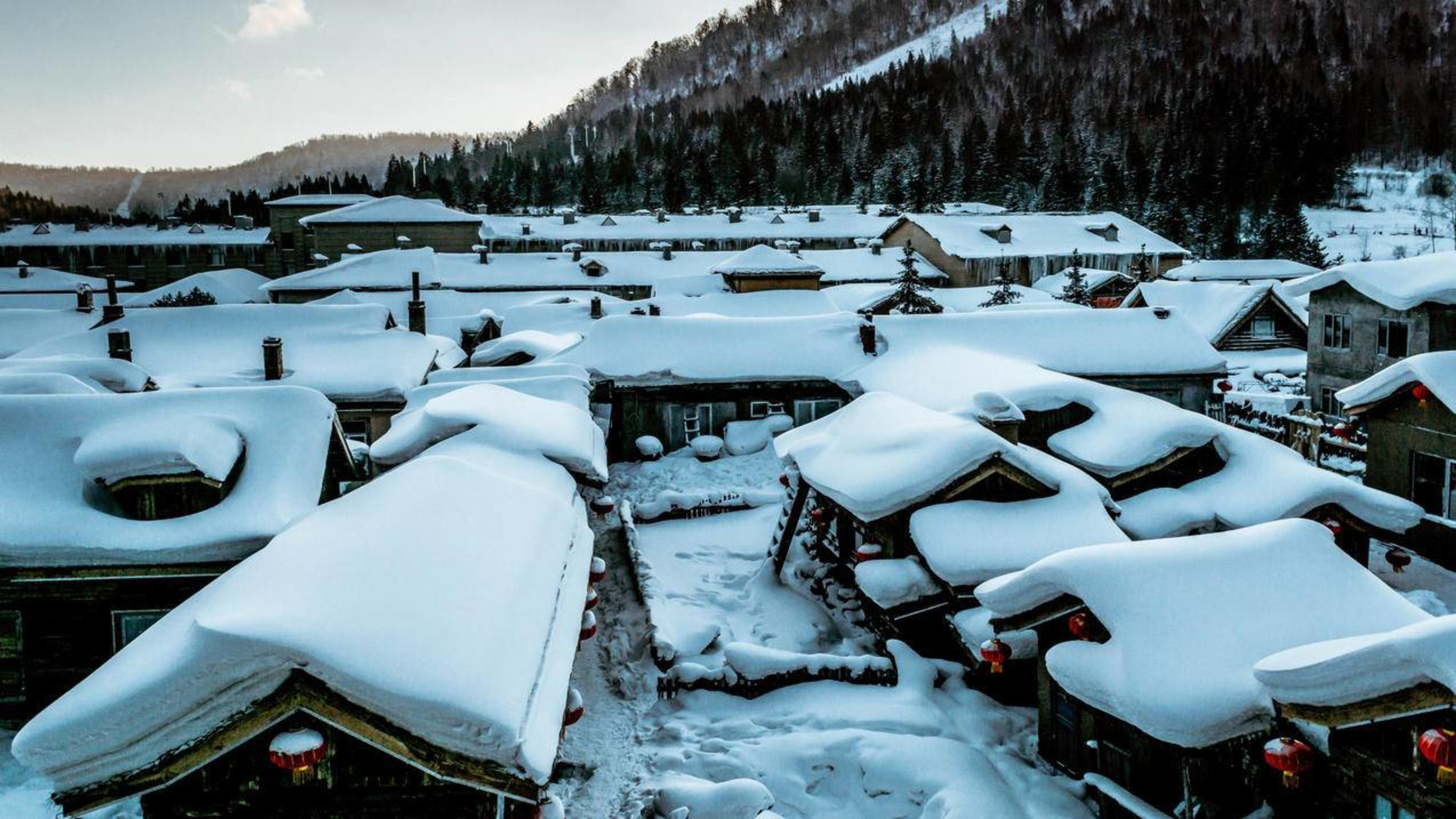 哈尔滨雪乡美景