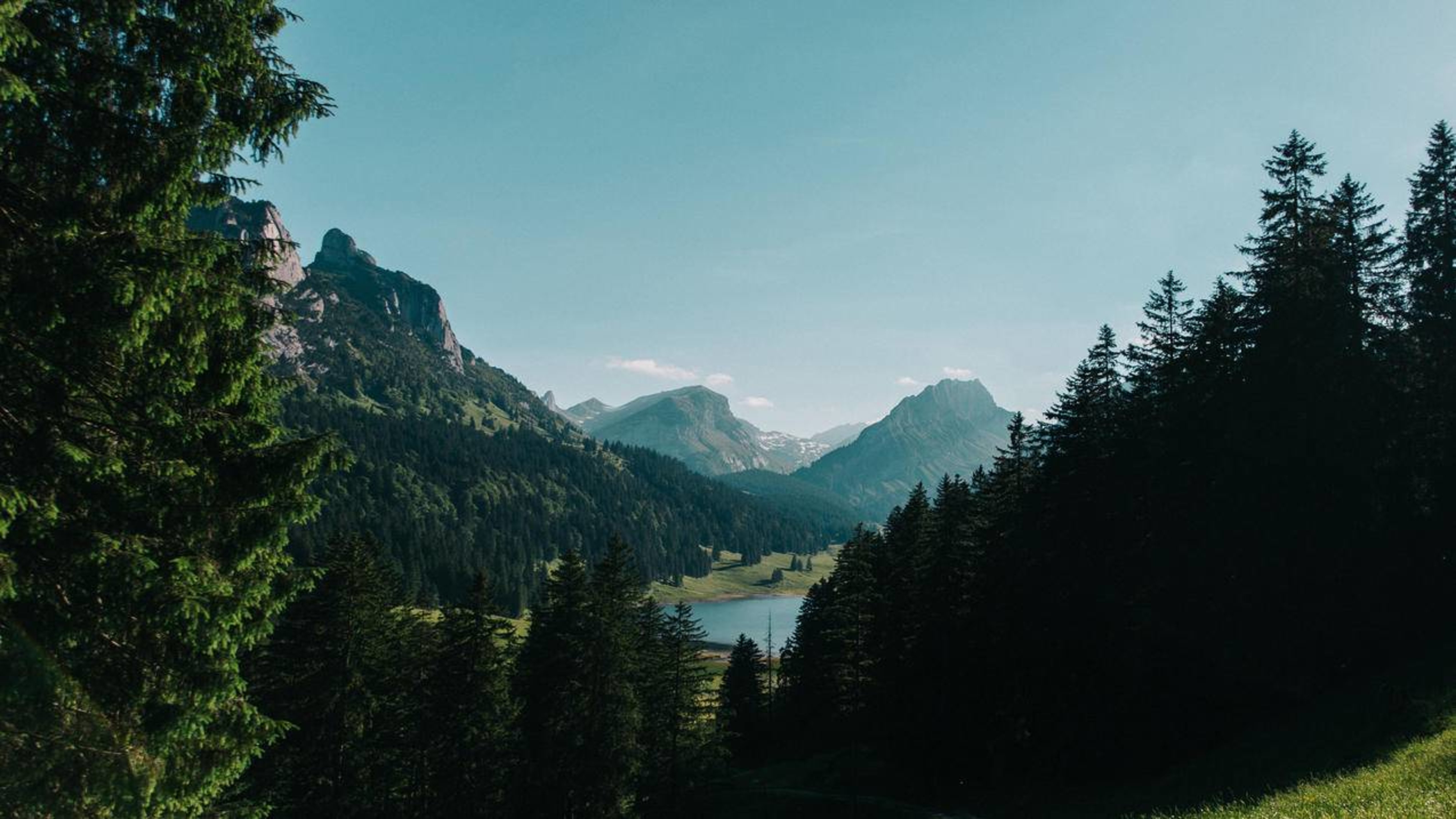 风景森林湖泊
