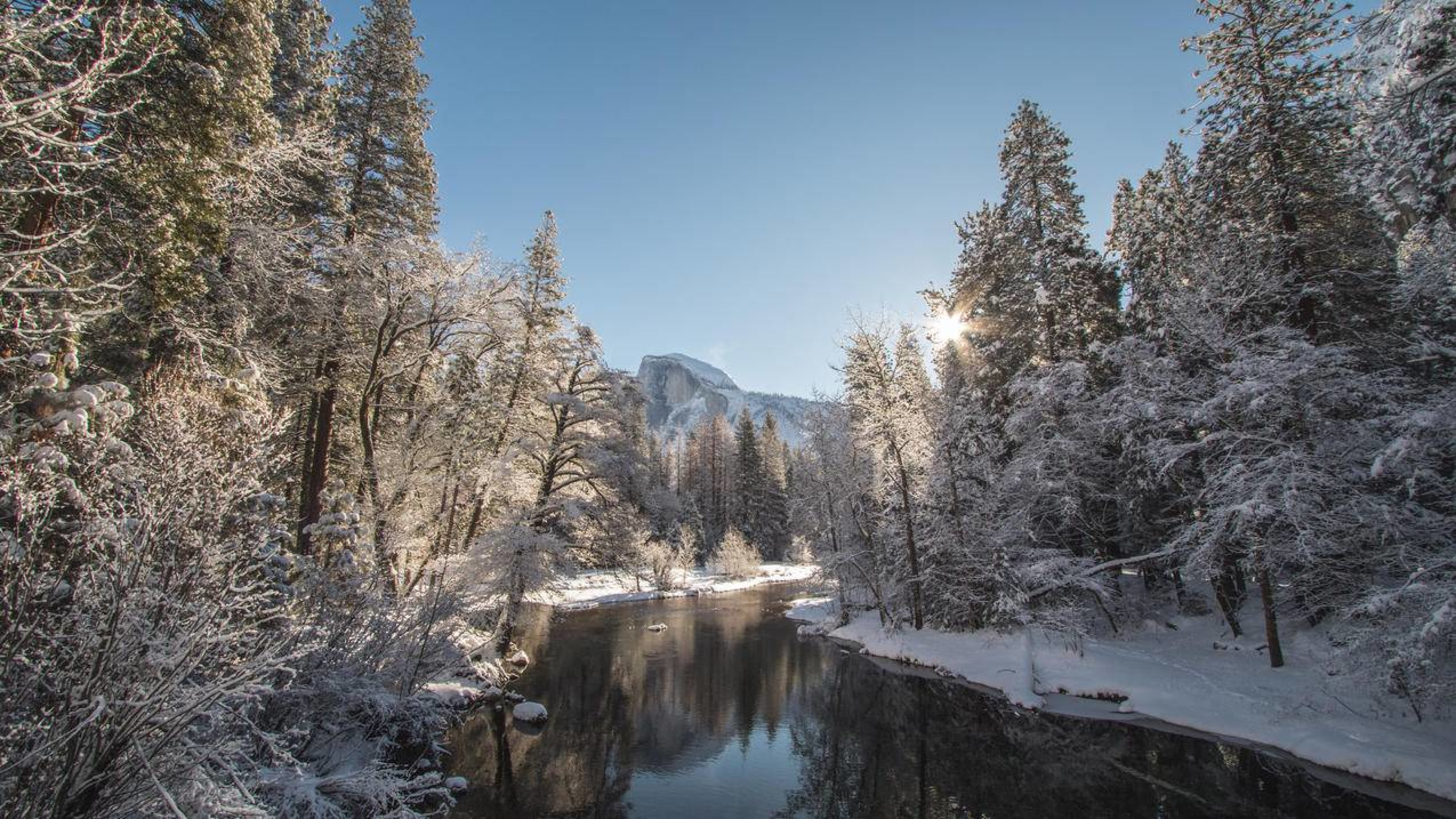 风景雪景冬日暖阳河流森林
