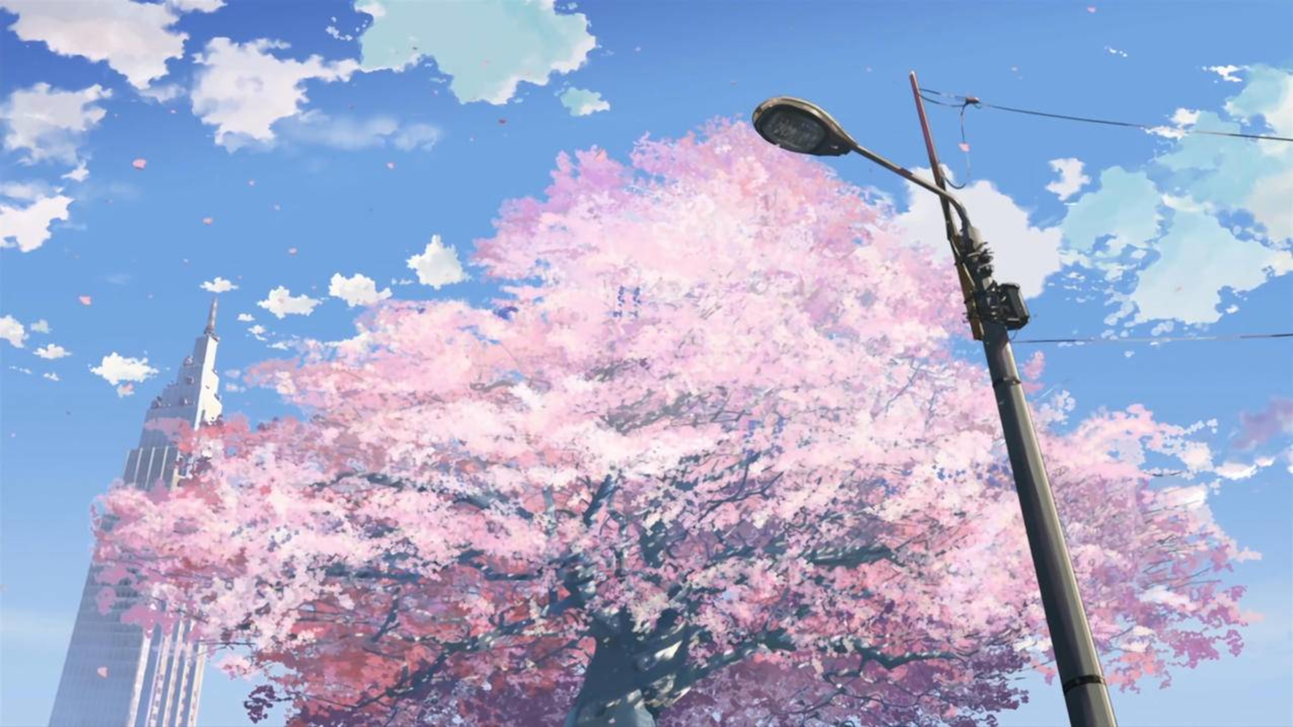 动漫风景樱花