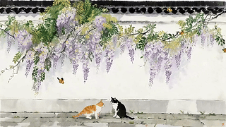 猫咪和蝴蝶