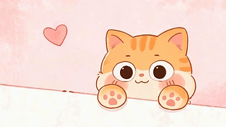 可爱猫咪
