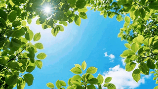 盛夏光年