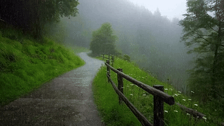 雨天小路