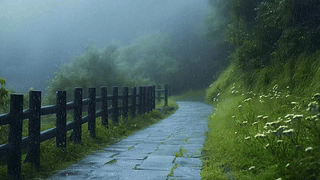 雨天小径