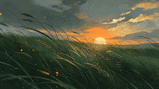 夕阳花草树木