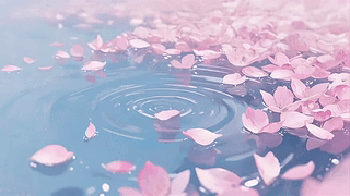 粉色花瓣