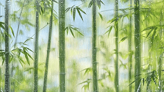 窗映青竹