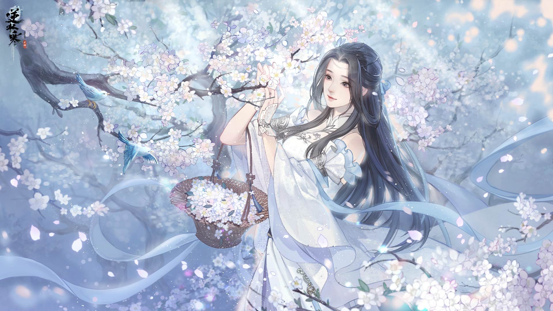 白樱采芳