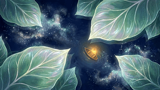 叶间星海