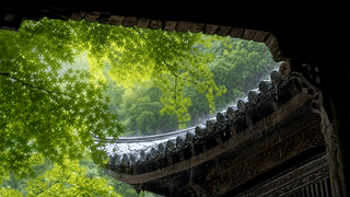 雨天古旧屋檐