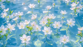 波光浮花