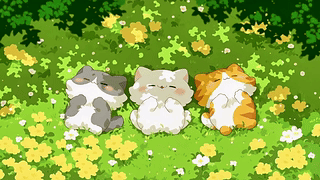 草地上的惬意小猫