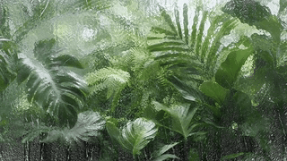 护眼绿植雨滴屏
