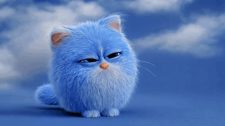 软萌蓝色小猫咪