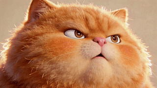 生气小橘猫