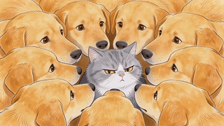 猫立狗群