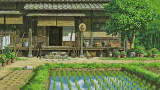 乡野农家小院