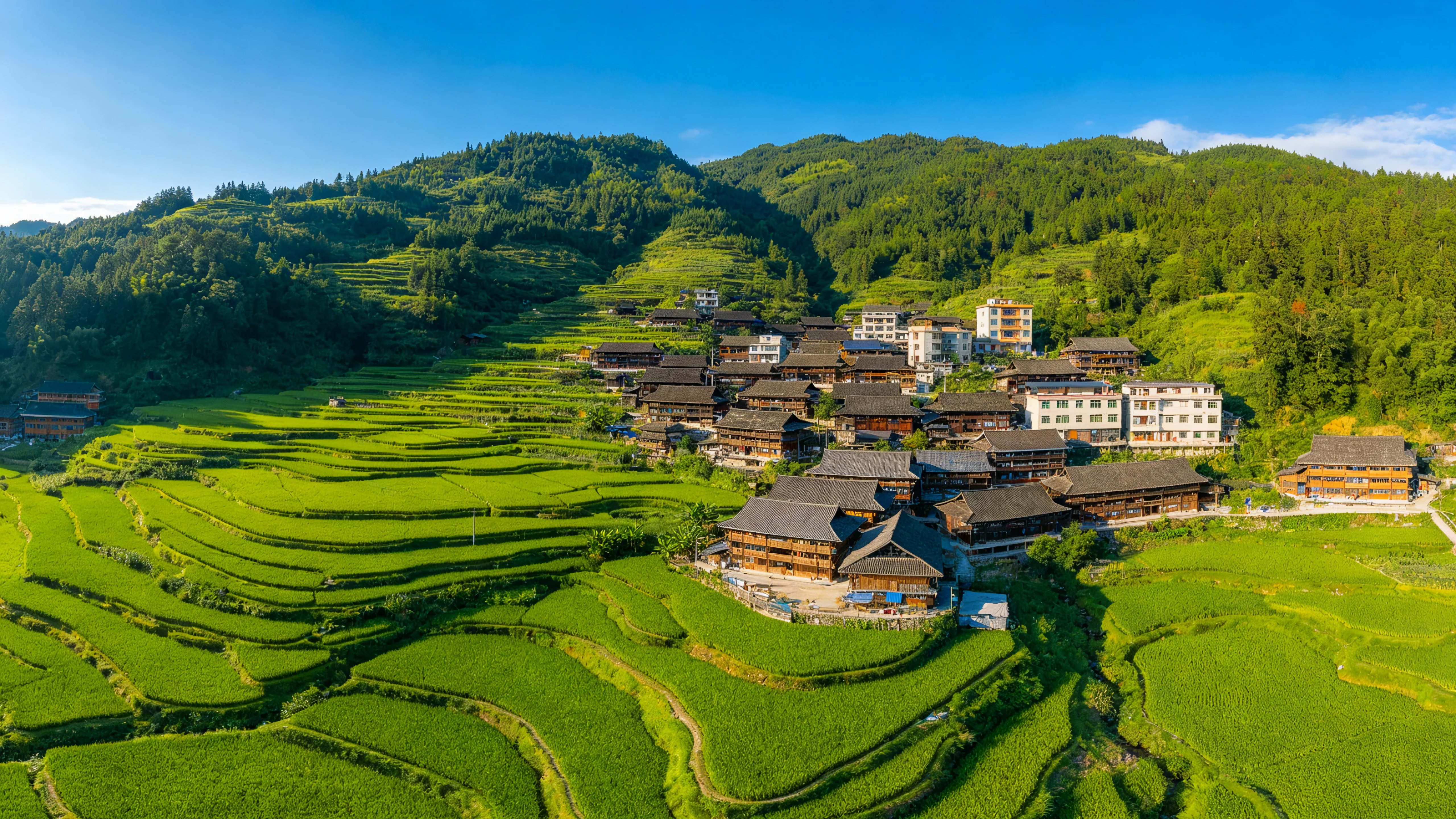 乡村梯田美丽风景