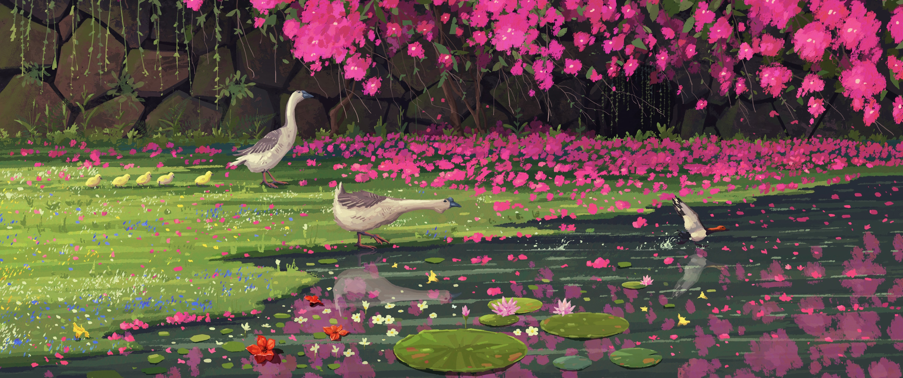 池塘 粉色的花 睡莲 鸭子 手绘风景 3440x1440超清带鱼屏壁纸