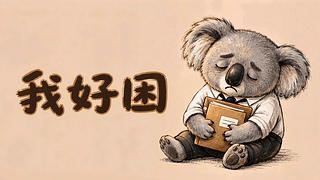 我好困打工考拉