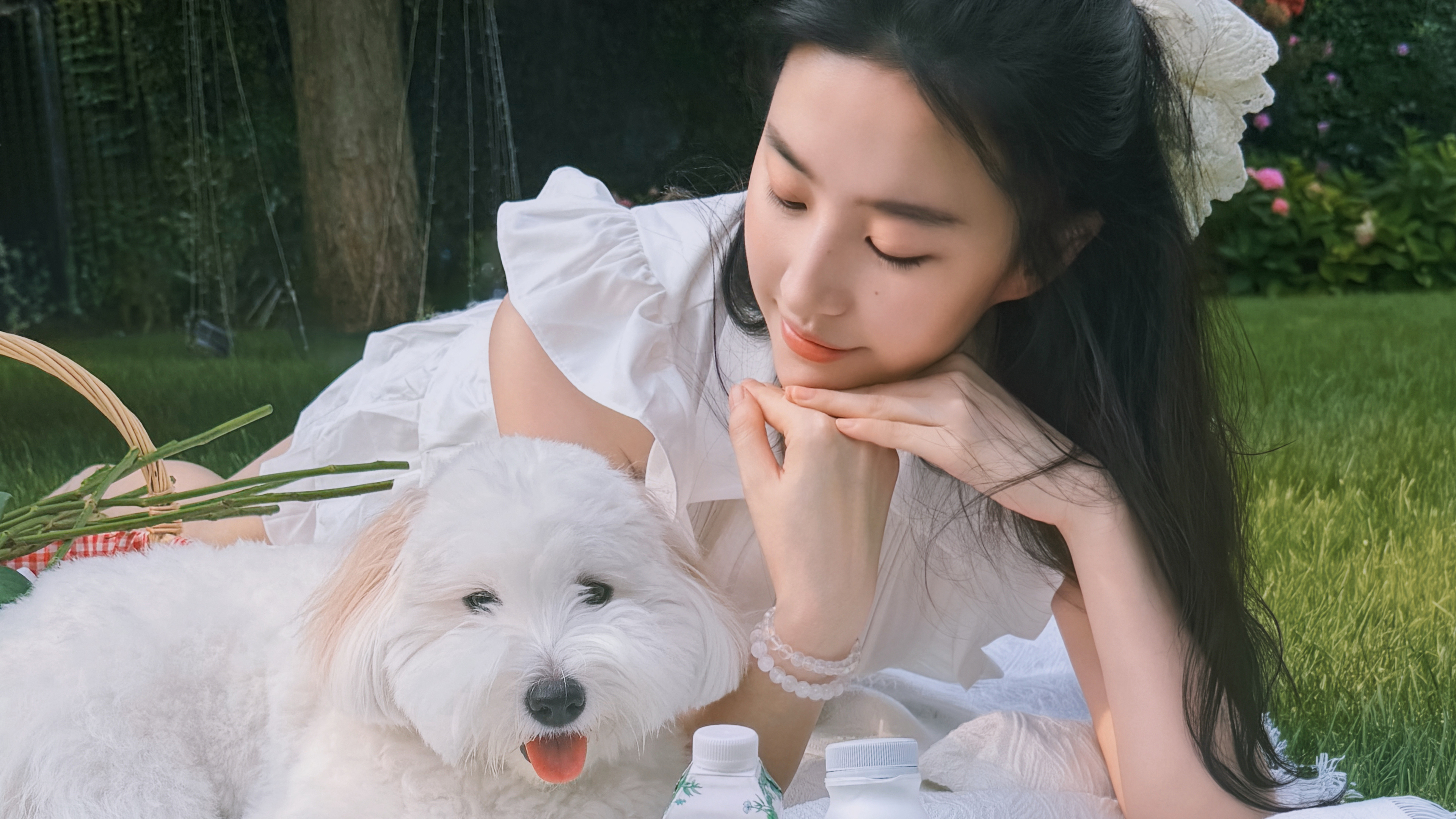 刘亦菲 绿草地 小白狗 4K美女壁纸 3840x2160