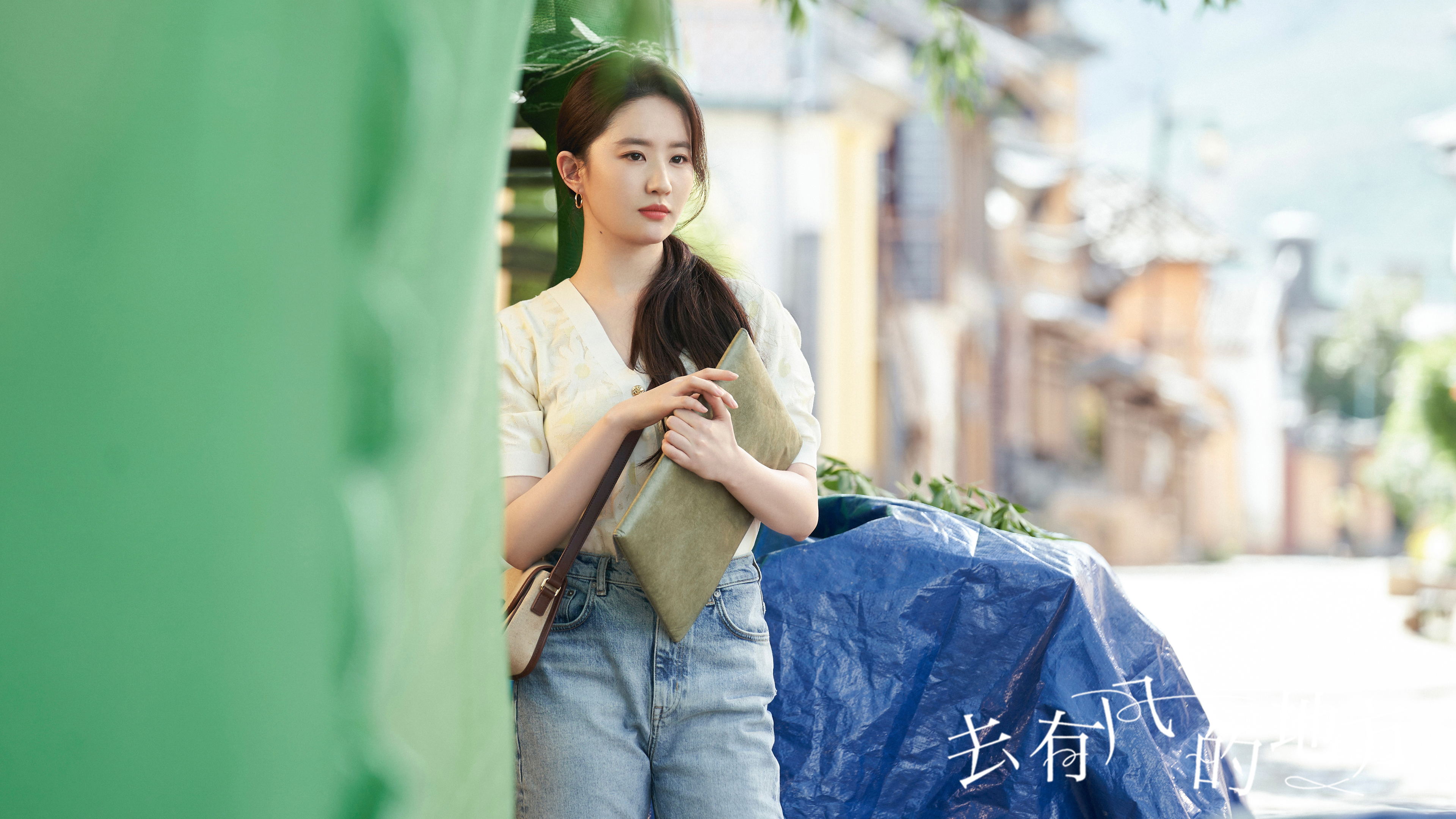 刘亦菲去有风的地方剧照