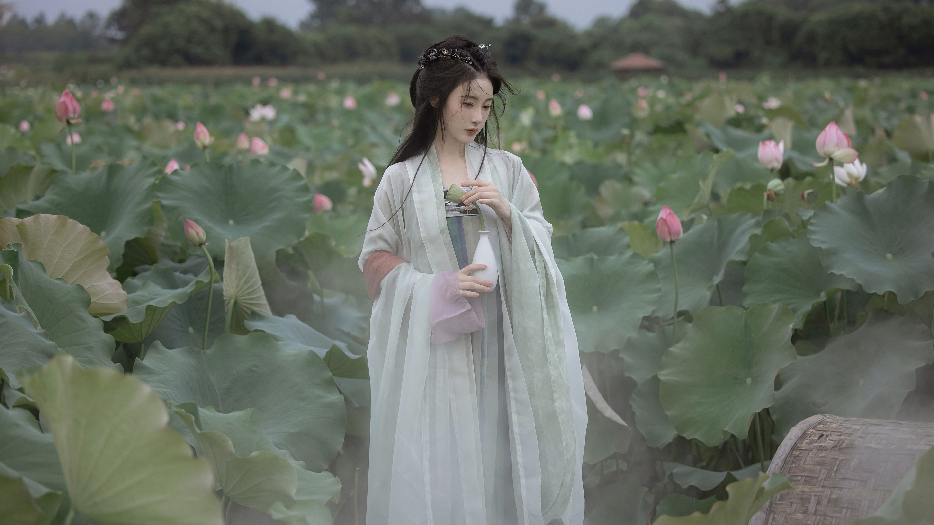 古风 仙气美女 荷花塘4k