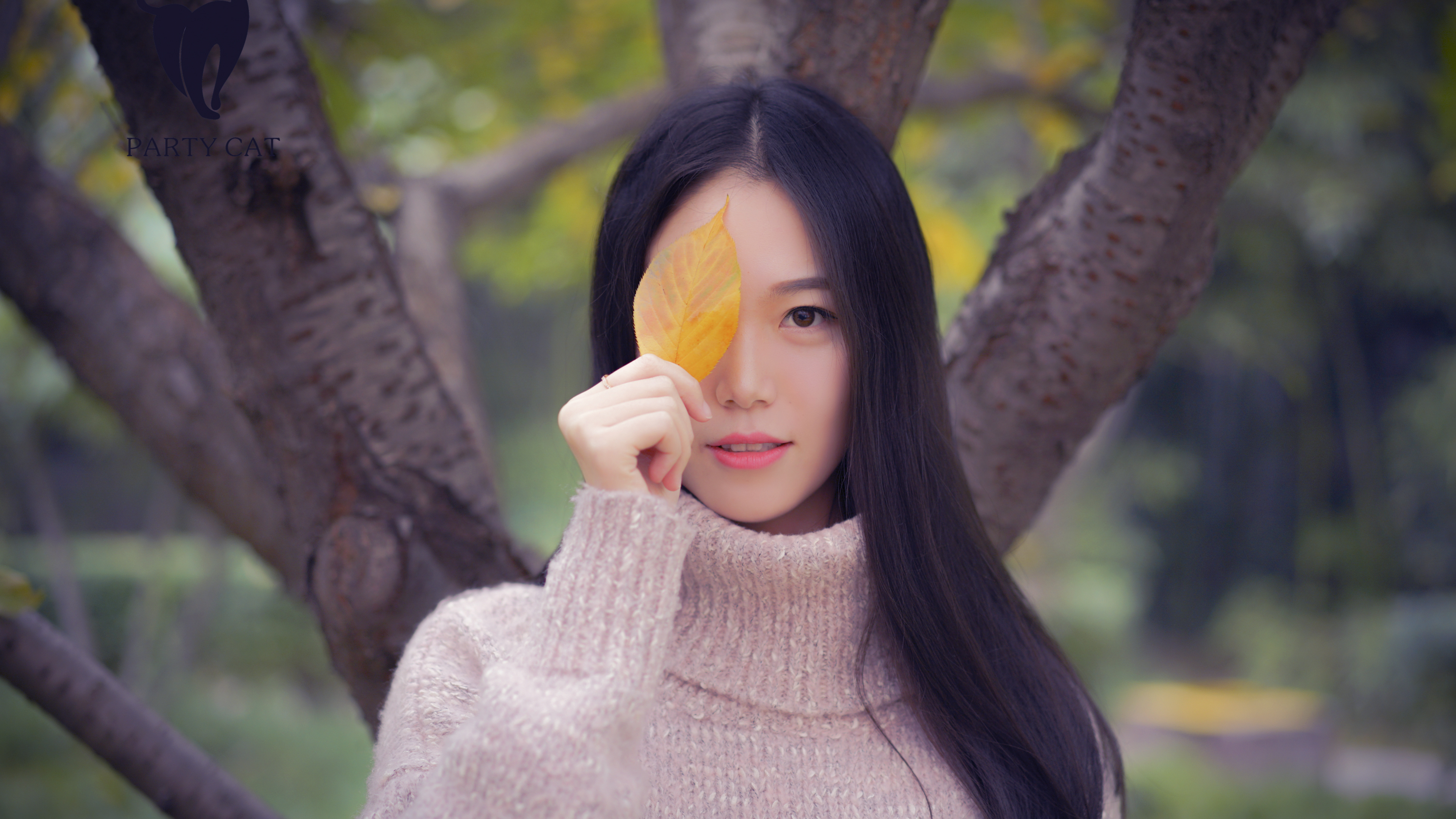 户外 长发美女 叶子 树