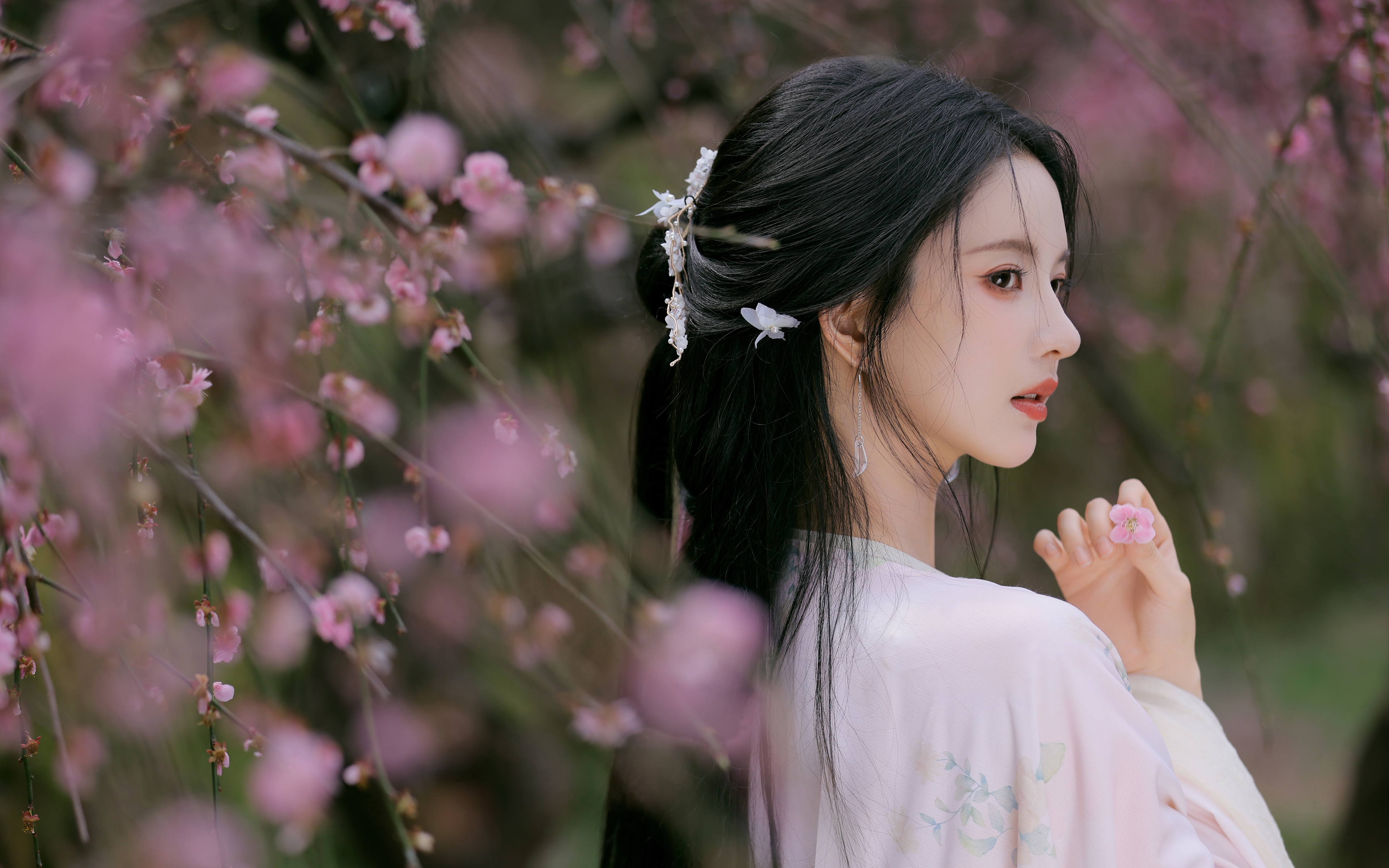 樱花 养眼古风美女 刘些