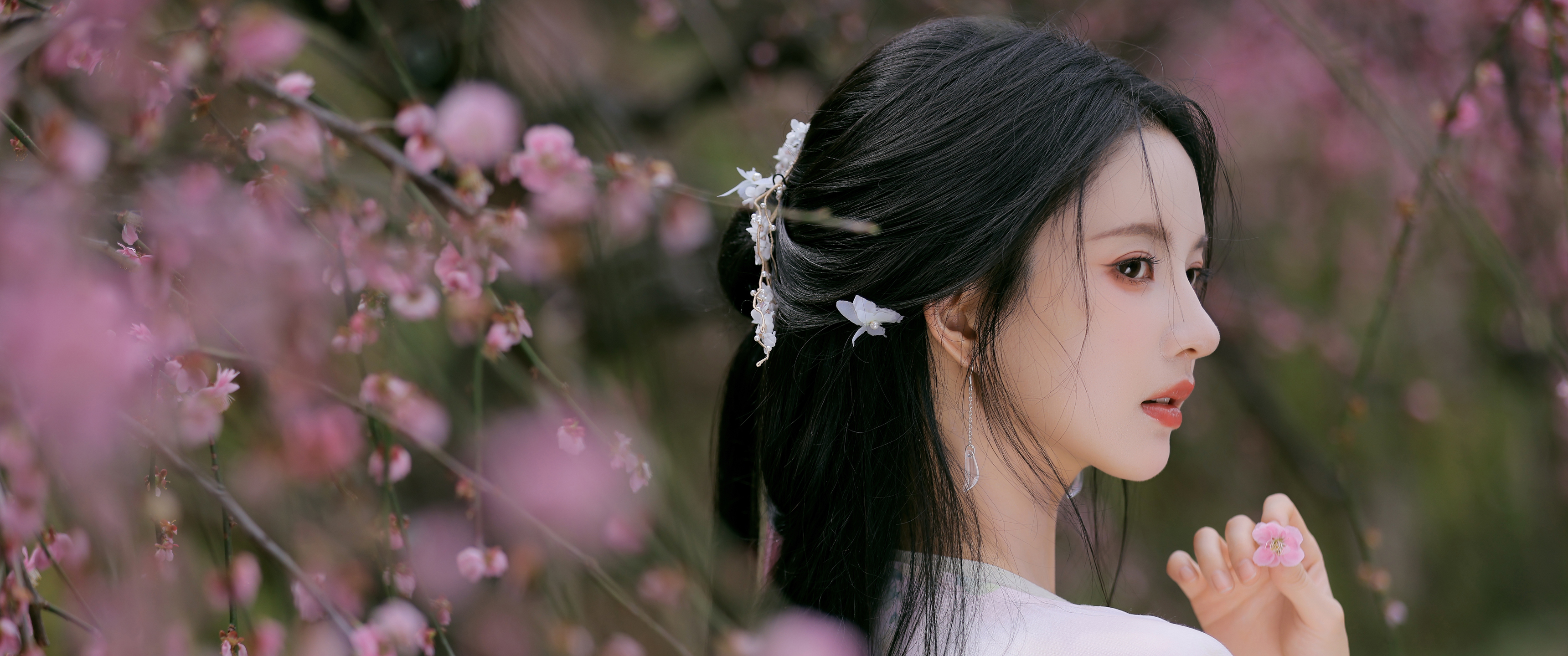 樱花 唯美古风美女 刘些