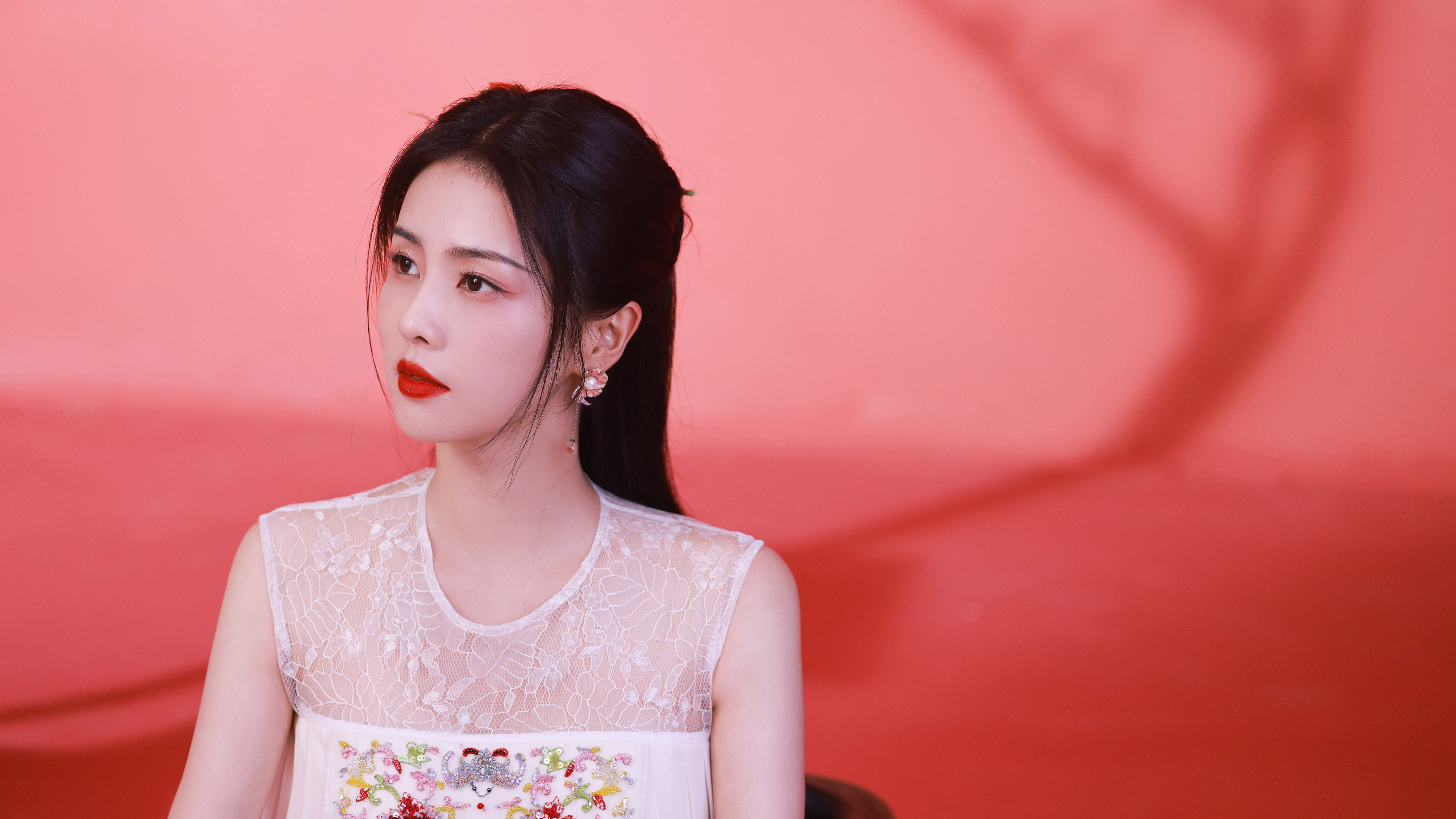 白鹿 侧脸 唯美 红色背