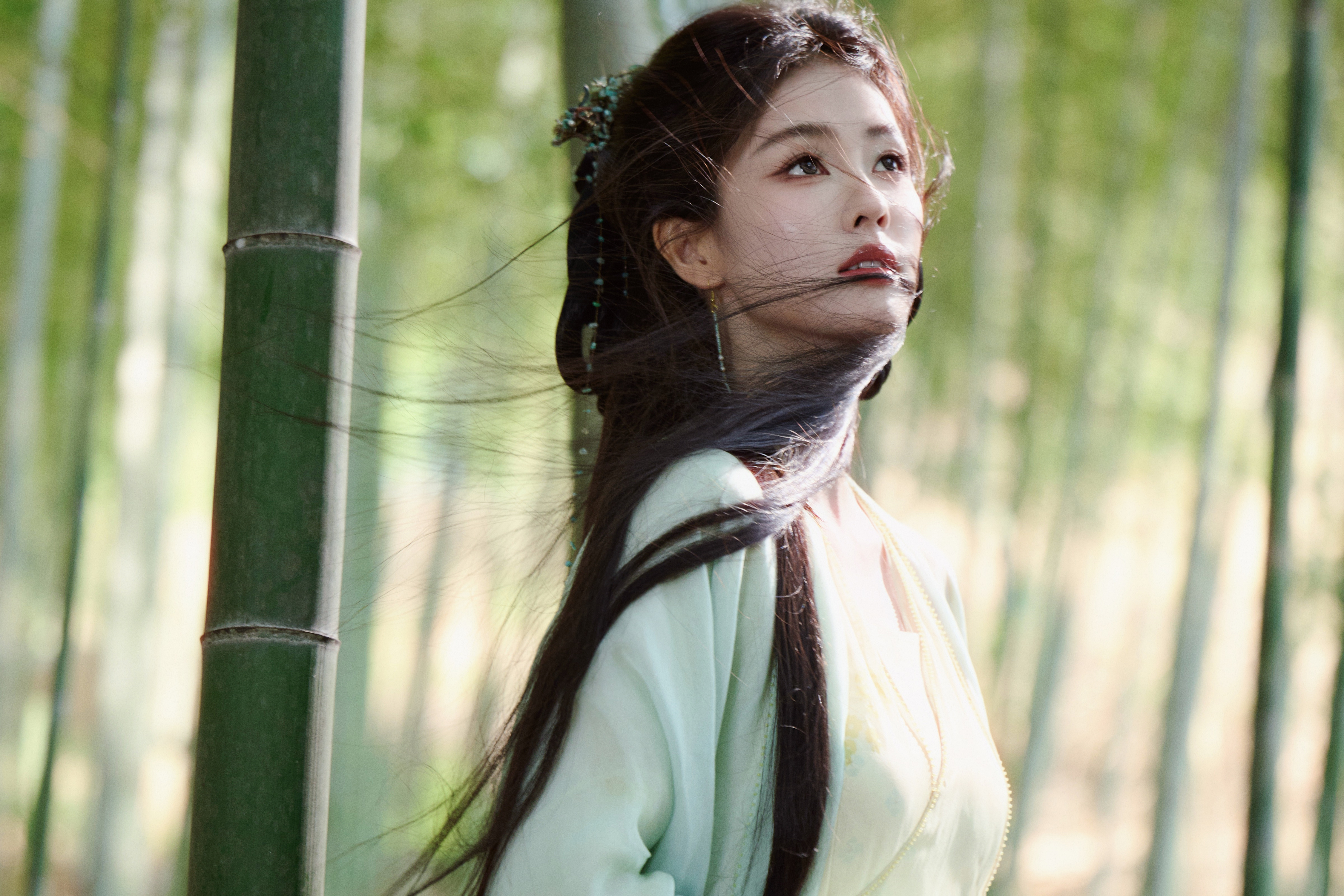 竹林古风美女白鹿4K电脑