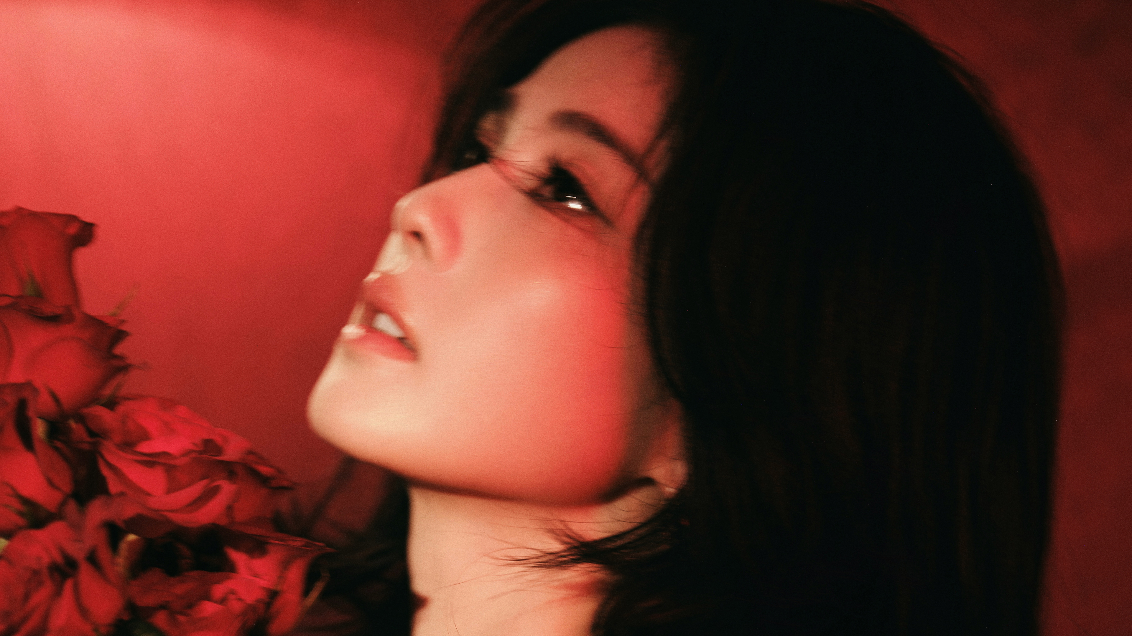 红色背景 侧脸美女白鹿4