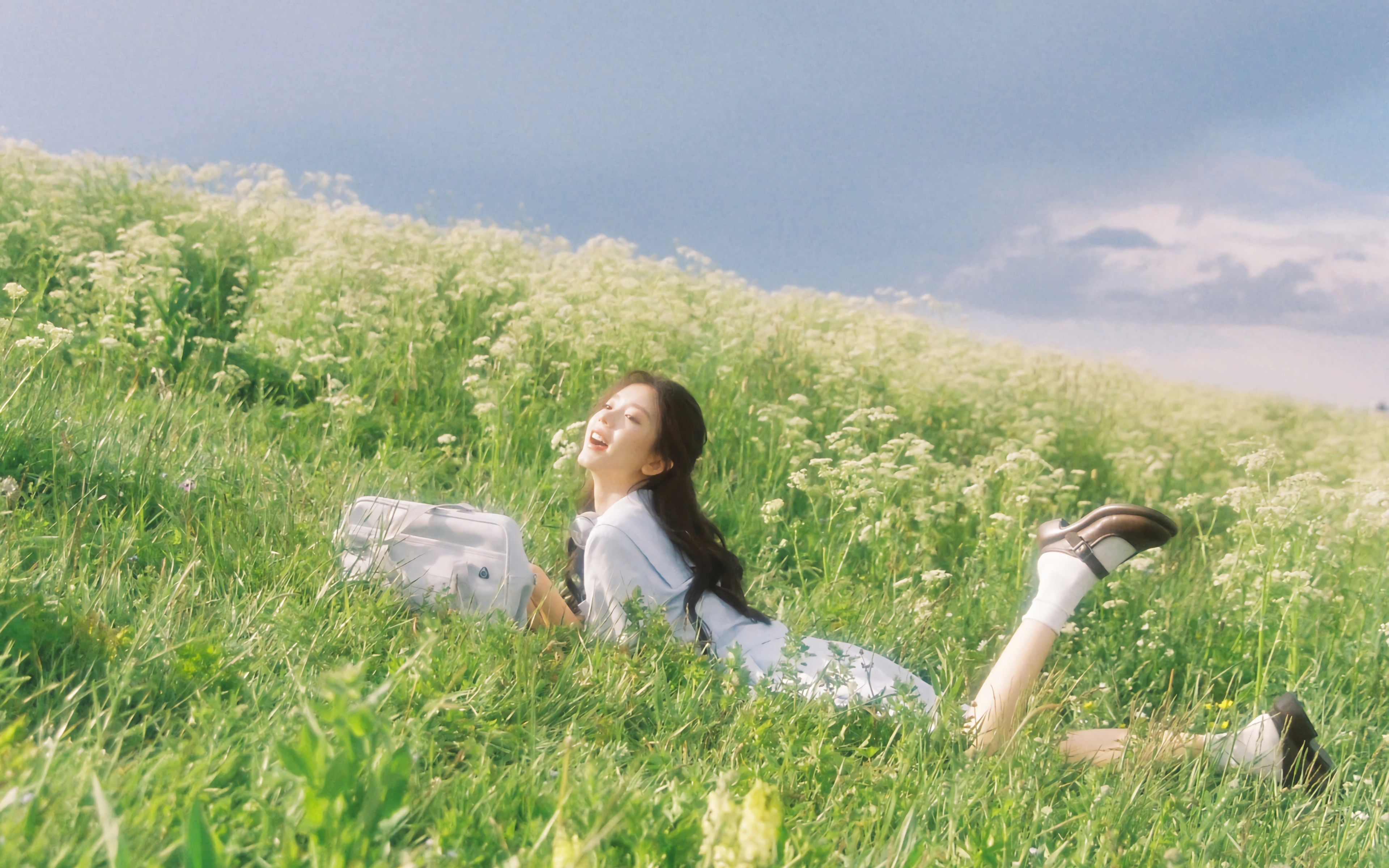 草地 鲜花 天空 可爱美
