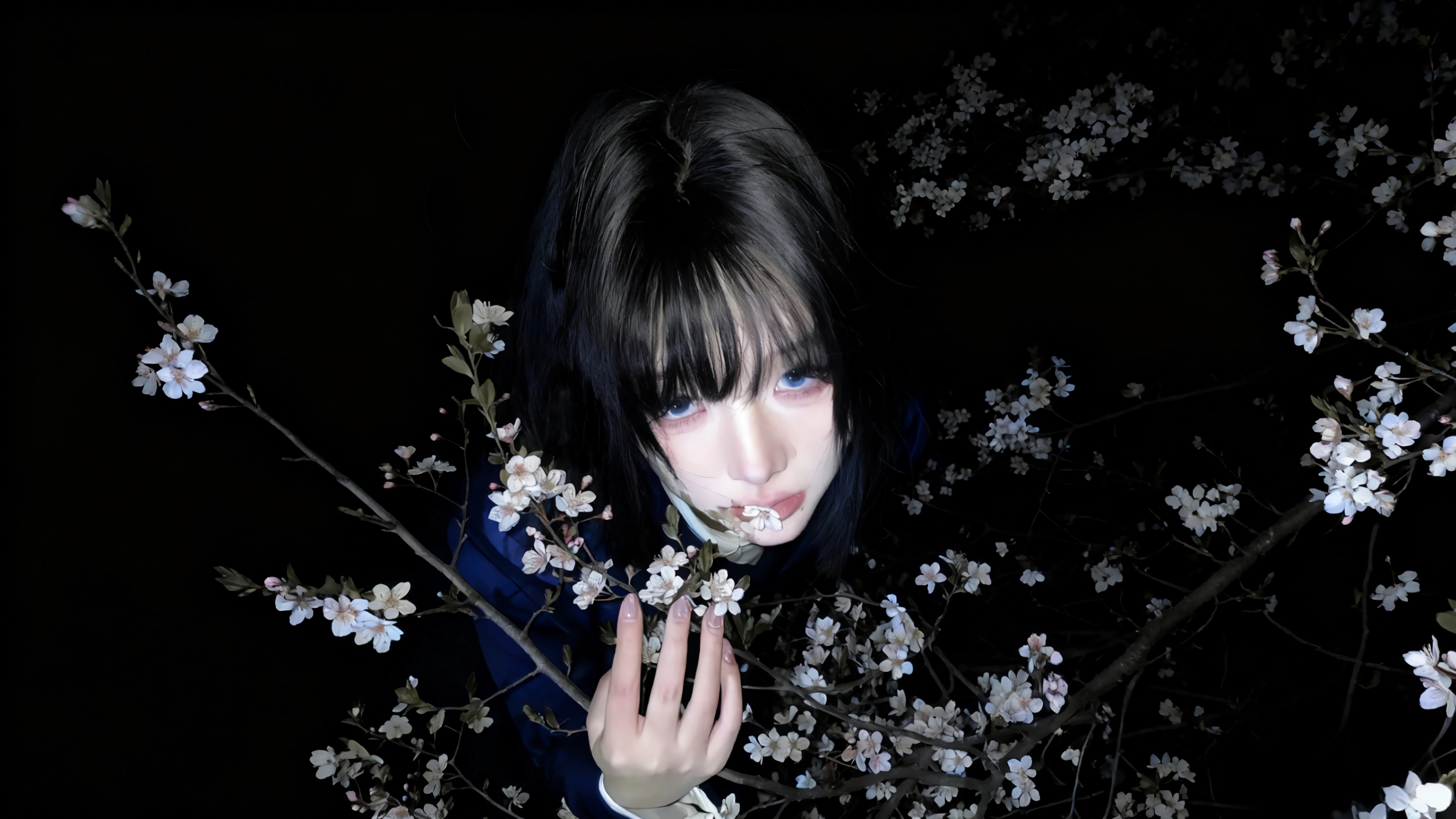 蓝色眼睛少女 夜晚花树 暗黑背景 4K壁纸