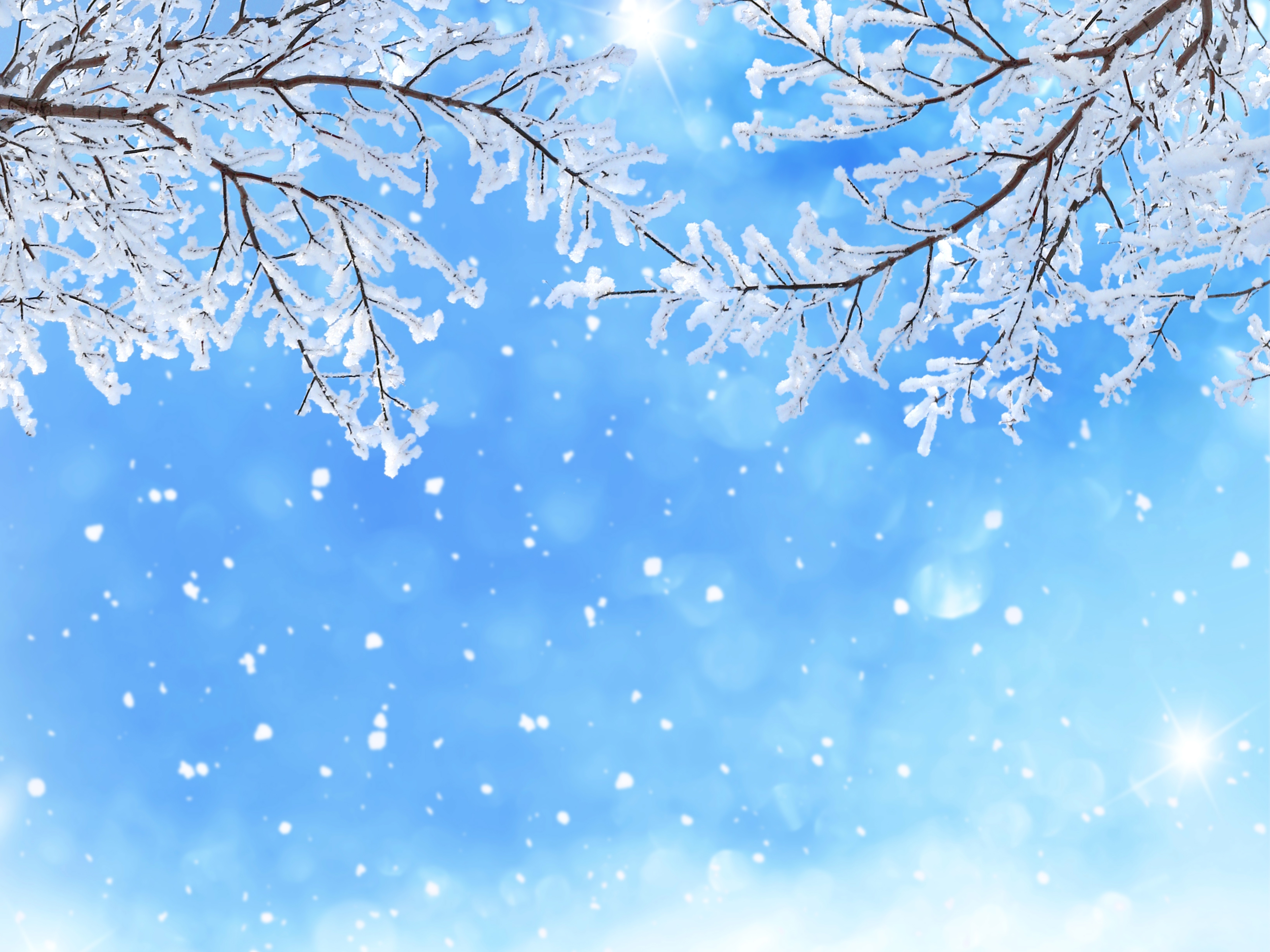 冬季 天空 雪花 树枝 蓝_6422
