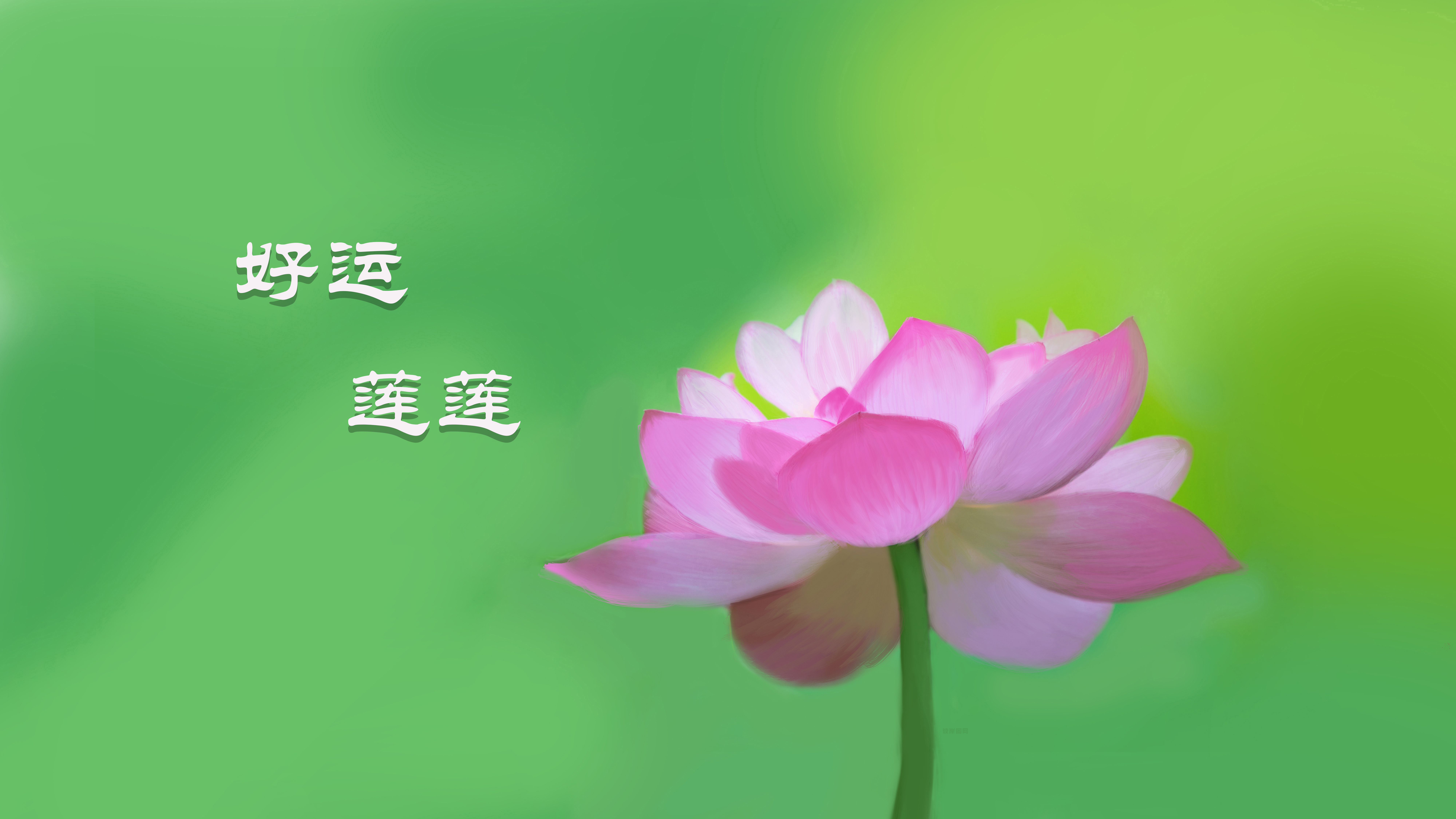 好运莲莲 手绘荷花 清新