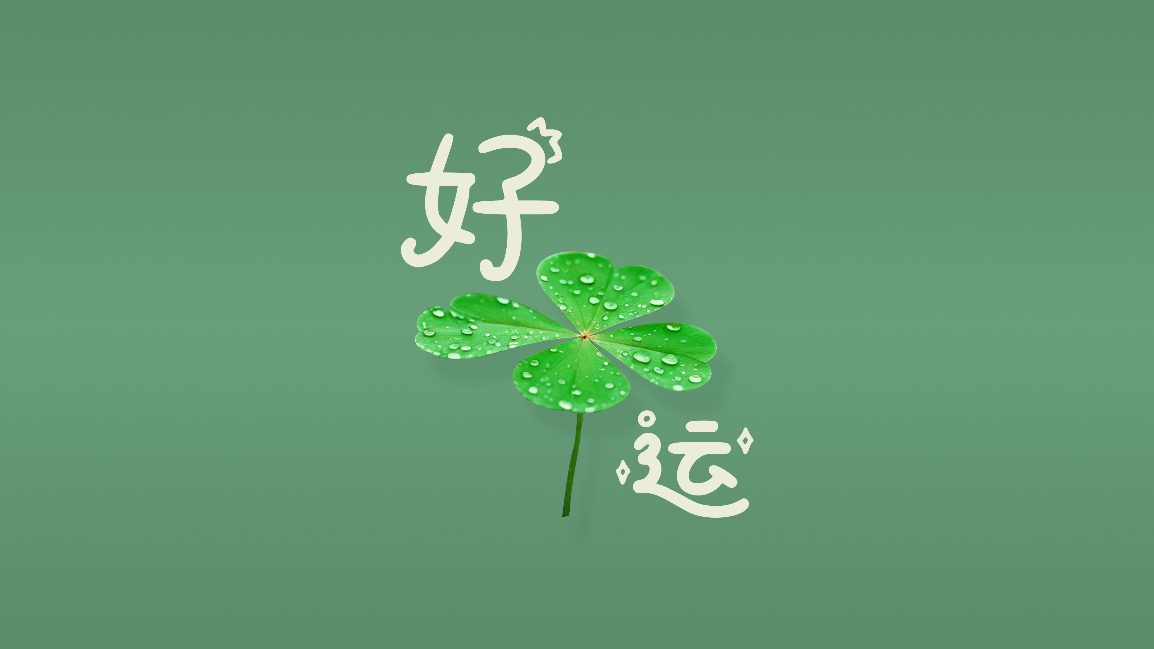 好运 四叶草 4K壁纸 3840x2160 护眼 极简