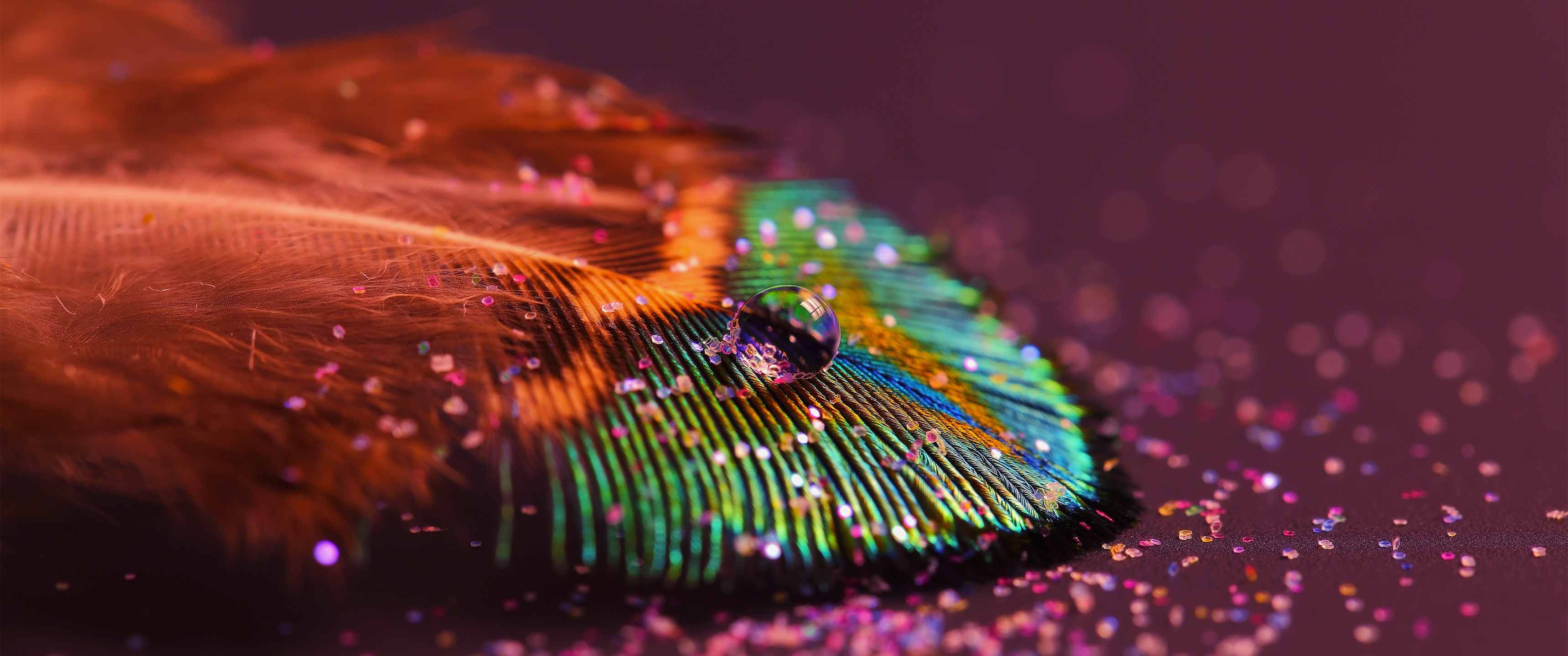 孔雀羽毛水滴3440x1440_19045