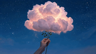 云朵鲜花