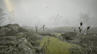 S.T.A.L.K.E.R. 2 雾中的沼泽